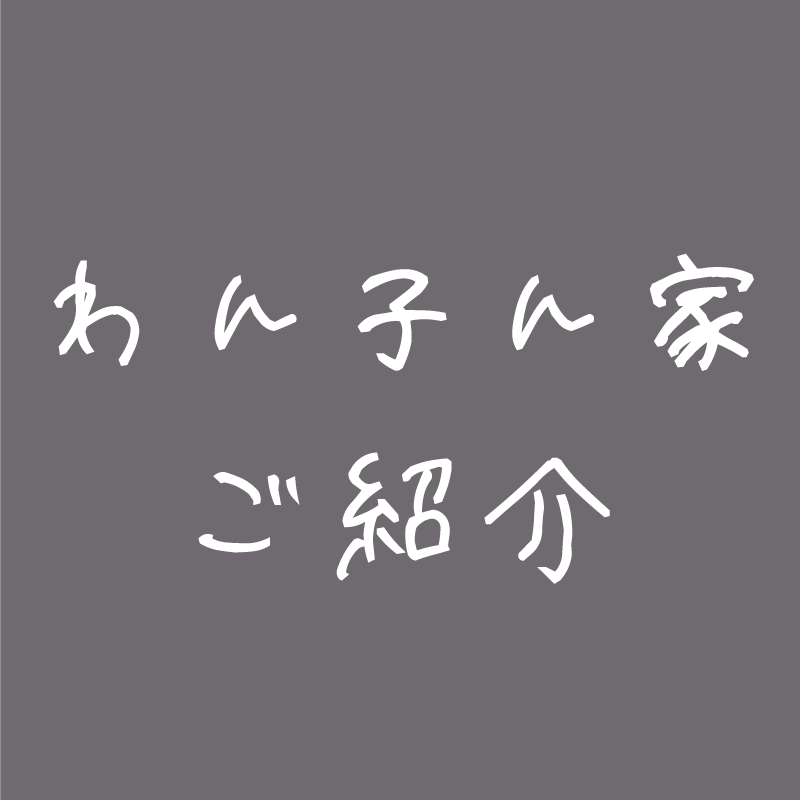 わんこんち,ワンコンチ,ヒマワリ幼稚園,株式会社ディーズロジュワン,でぃーずろじゅわん