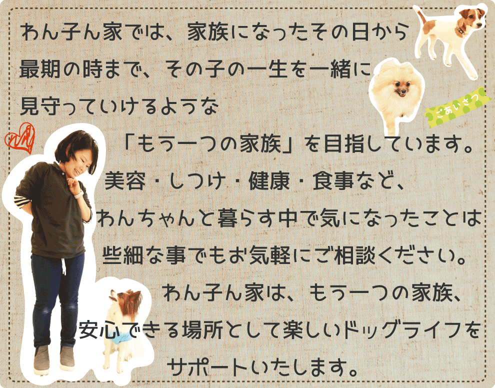 わん子ん家では、家族になったその日から最期の時まで、その子の一生を一緒に見守っていけるような「もう一つの家族」を目指しています。美容・しつけ・健康・食事など、わんちゃんと暮らす中で気になったことは些細な事でもお気軽にご相談ください。わん子ん家は、もう一つの家族、安心できる場所として楽しいドッグライフをサポートいたします。